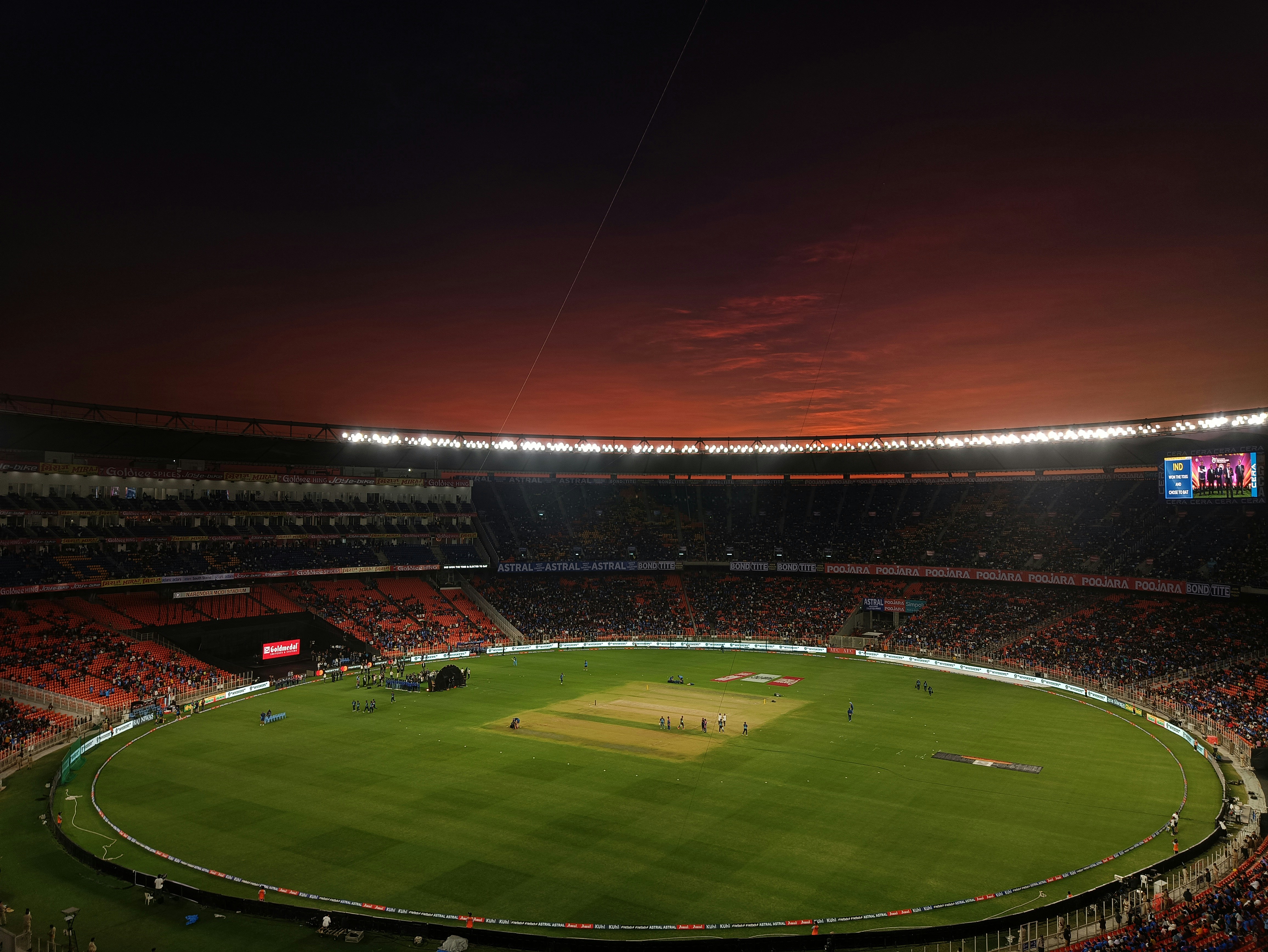 Cricket